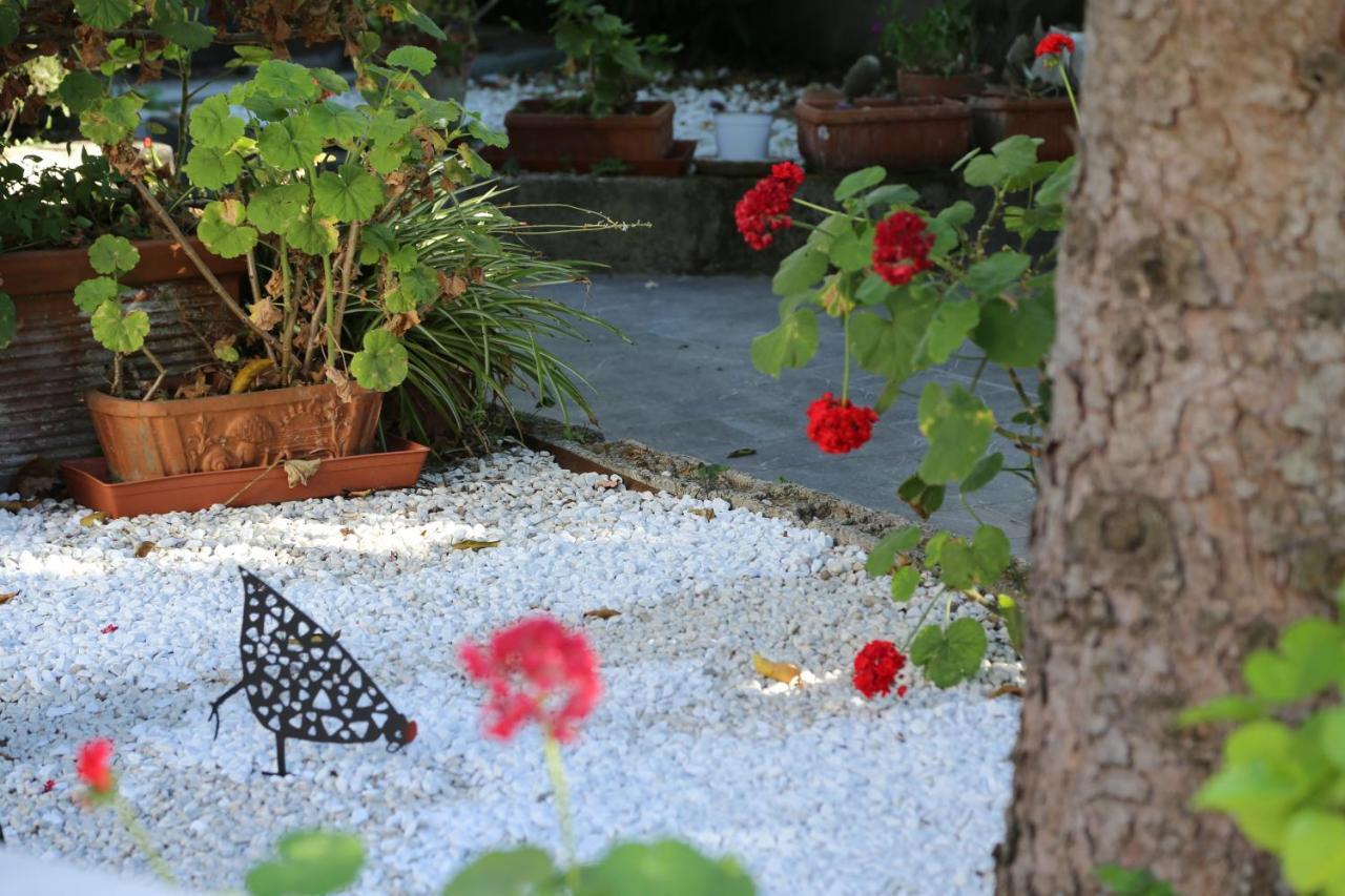 B&B Villa Gemini Sant'Agnello Exterior photo
